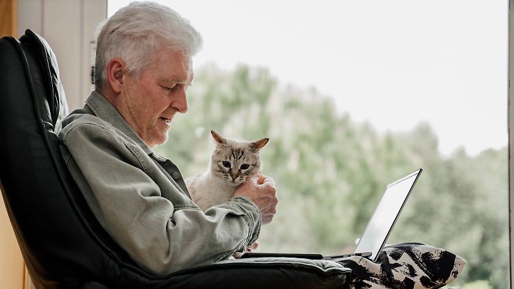Katzen können offenbar unterscheiden, wann mit ihnen oder einem Menschen gesprochen wird. 