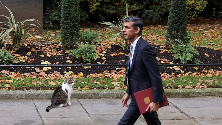 Hat seine Ministerriege komplett: Der neue britische Premier Sunak. Katze Larry, die im Regierungssitz wohnt, dürfte es egal sein.