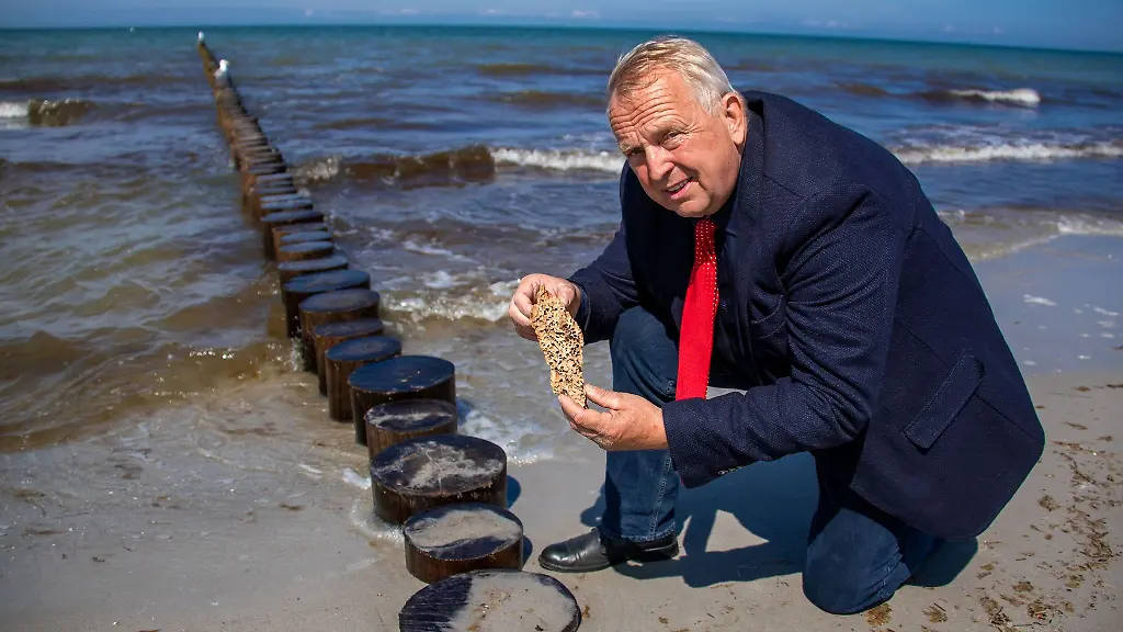 Mecklenburg-Vorpommerns-Agrar-und-Umweltminister-Till-Backhaus