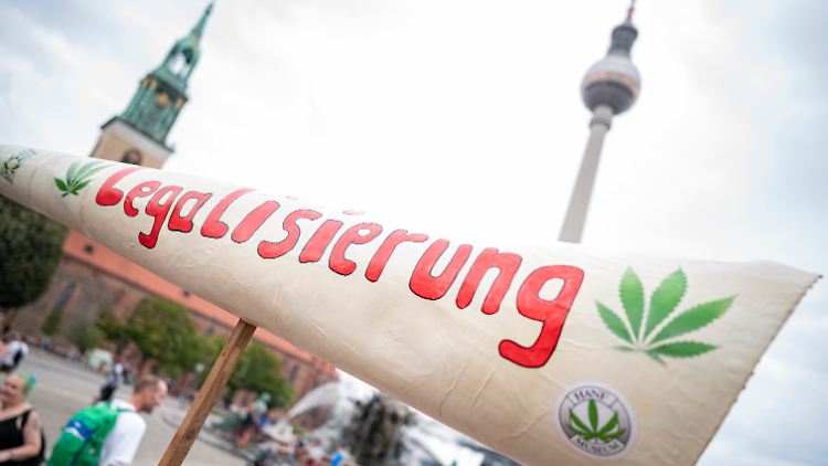 Das Kabinett will den Kauf und Besitz von Cannabis für private Zwecke erlauben.
