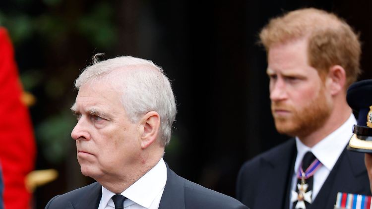 Sie sollen den König bald nicht mehr vertreten können: Sein Bruder Andrew (l.) und sein Sohn Harry.