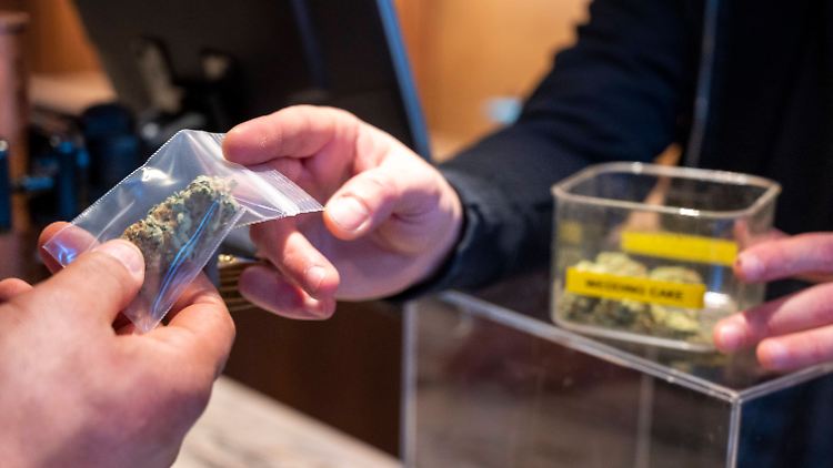 Coffeeshop in Amsterdam - die Niederlande gelten als Vorreiter beim lockeren Umgang mit Cannabis.