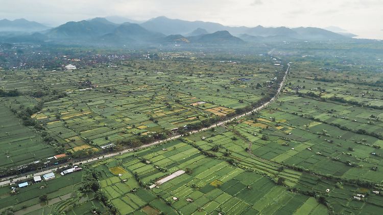 Reisfelder auf der indonesischen Insel Bali - Forscher messen einen Anstieg der Methan-Konzentration vor allem aus tropischen Regionen.