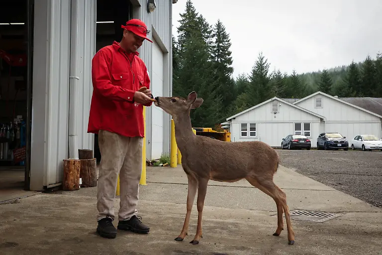 2024-06-06T100212Z-1054946919-RC2GG3AV0EHW-RTRMADP-3-USA-PRISONS-FIREFIGHTERS