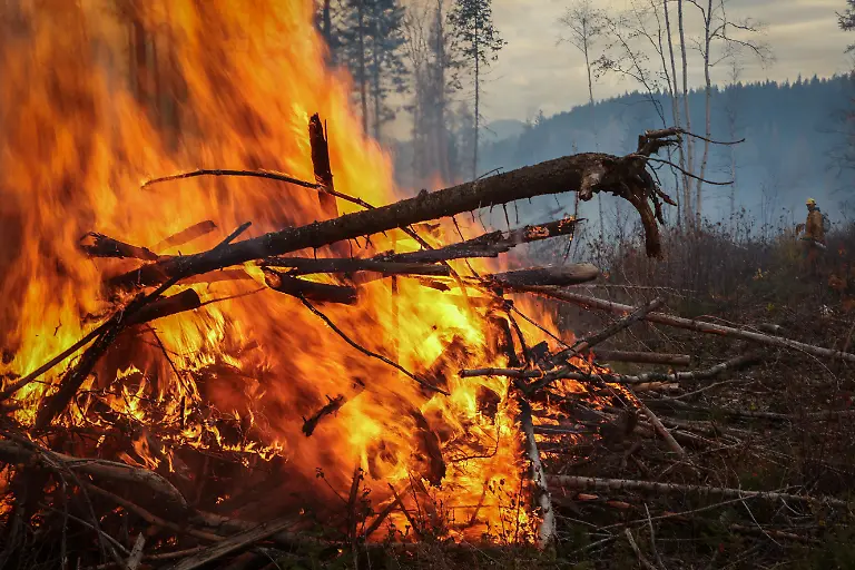 2024-06-06T100207Z-1811516448-RC2RZ3AC3TZP-RTRMADP-3-USA-PRISONS-FIREFIGHTERS