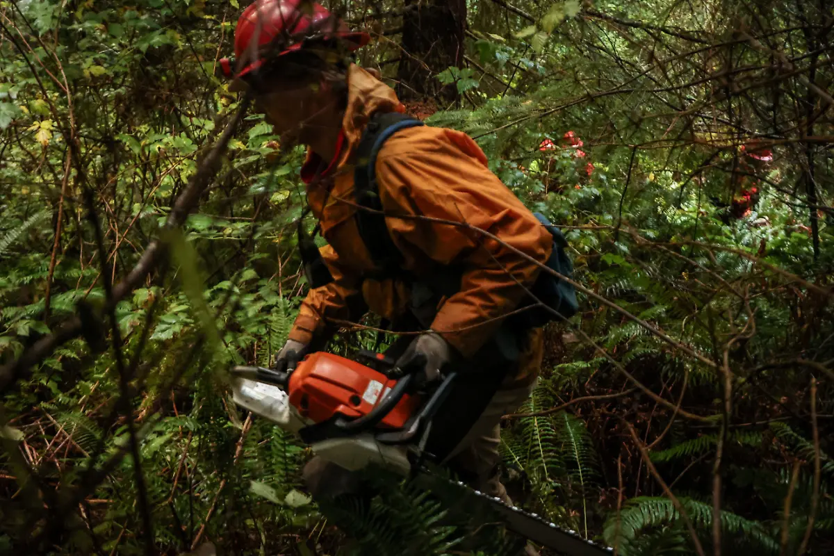 2024-06-06T100202Z-1891939582-RC24L3A62BTL-RTRMADP-3-USA-PRISONS-FIREFIGHTERS