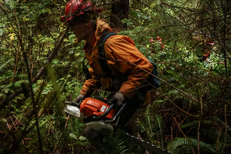 2024-06-06T100202Z-1891939582-RC24L3A62BTL-RTRMADP-3-USA-PRISONS-FIREFIGHTERS