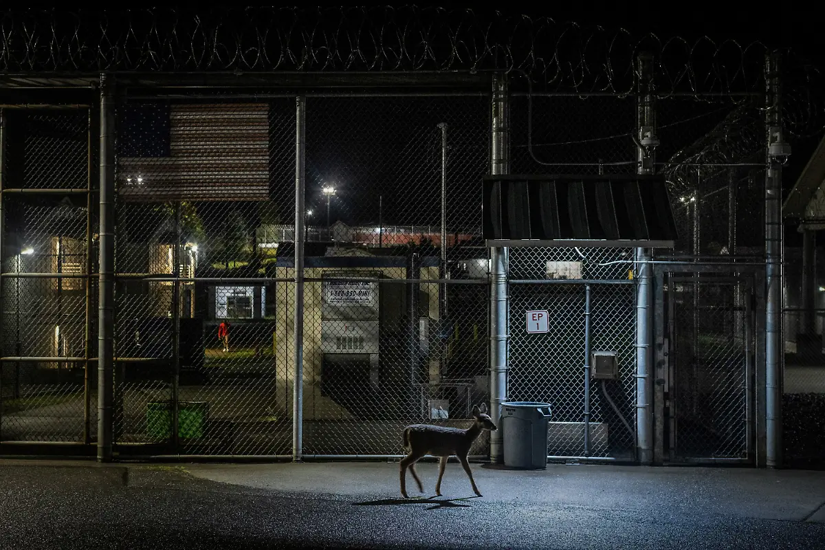 2024-06-06T100220Z-147709760-RC21L3AO2XVD-RTRMADP-3-USA-PRISONS-FIREFIGHTERS