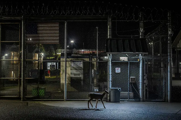 2024-06-06T100220Z-147709760-RC21L3AO2XVD-RTRMADP-3-USA-PRISONS-FIREFIGHTERS