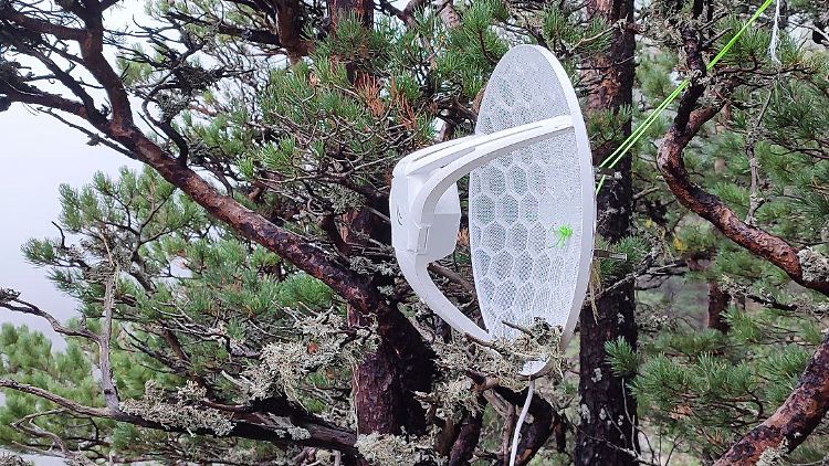 Die Antenne an einem Baum sorgt für einigermaßen gute Internetverbindung in Kalinins "Büro". 