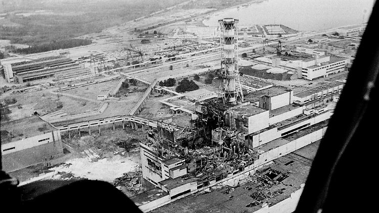 In Wäldern nimmt die radioaktive Kontamination aus der Tschernobyl-Katastrophe über die Jahrzehnte nur sehr langsam ab.