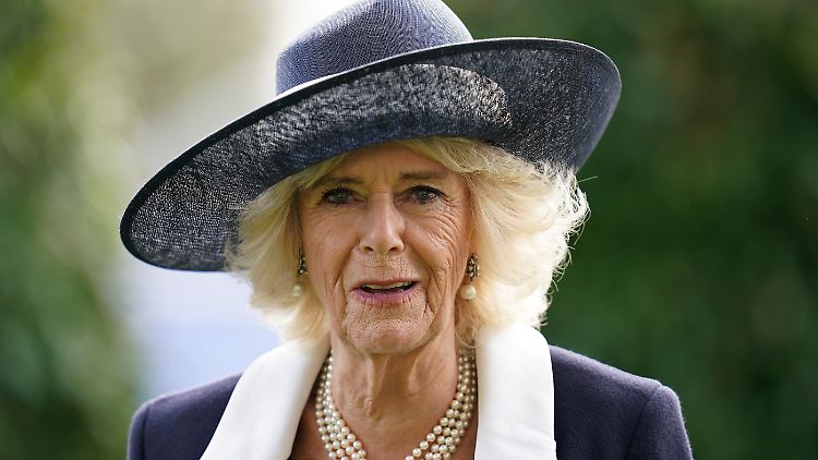 Camilla leidet unter Flugangst.
