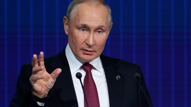Wenn Putin einen Waffenstillstand anbietet, dann zu für die Ukraine inakzeptablen Bedingungen, erwarten Militärexperten.