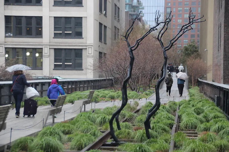 ad07ca991f0d994d39afc82f5bd38abf