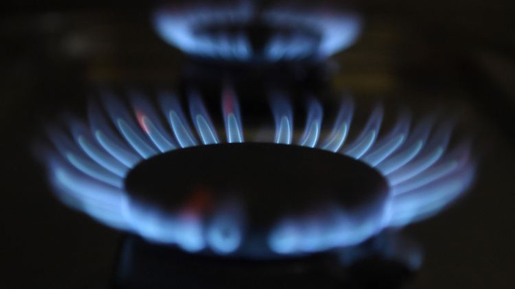 Die Preisanstiege für Strom und Erdgas an den Energiebörsen seit Mitte 2020 wirken sich mittlerweile auch stärker auf die Preise für private Haushalte aus. 