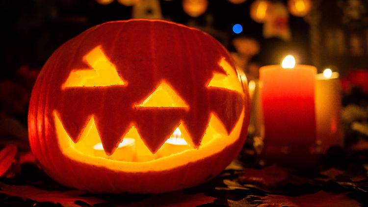 Nicht erschrecken! Es ist Halloween ...