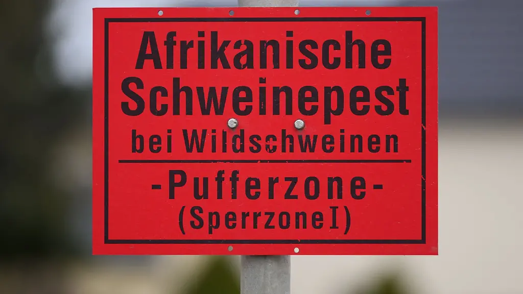 Ein-Schild-Afrikanische-Schweinepest-bei-Wildschweinen-Pufferzone-Sperrzone-1-ist-an-einem-Ortseingangsschild-im-Landkreis-Bautzen-montiert