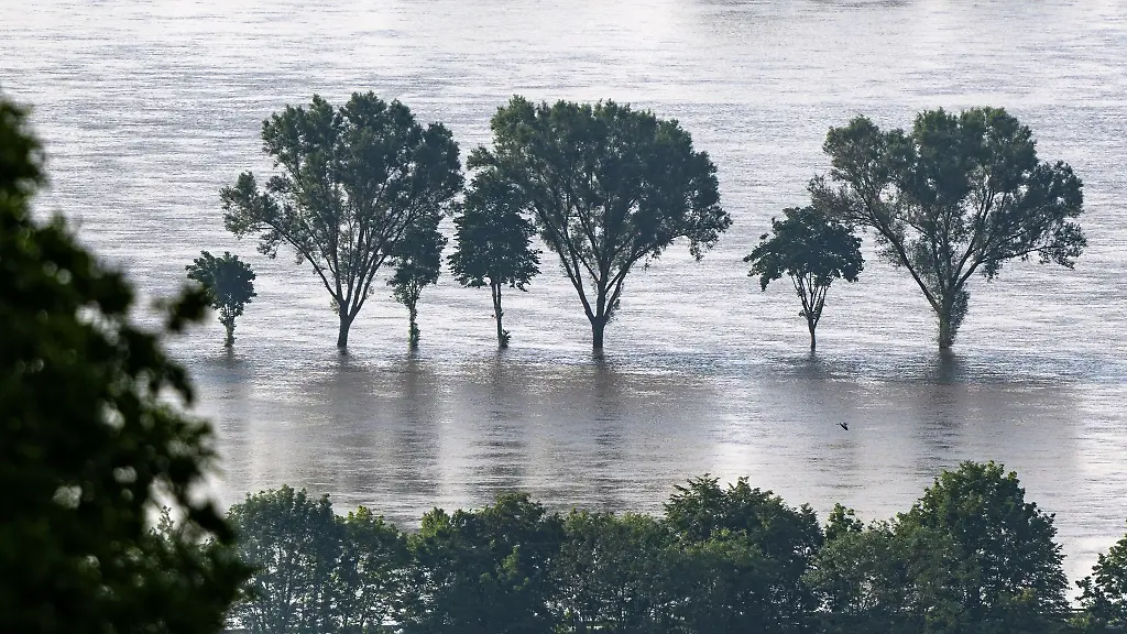 Baeume-stehen-im-Hochwasser-der-Donau-In-einigen-Hochwassergebieten-in-Sueddeutschland-entschaerft-sich-die-Lage-an-der-unteren-Donau-bleibt-sie-gespannt