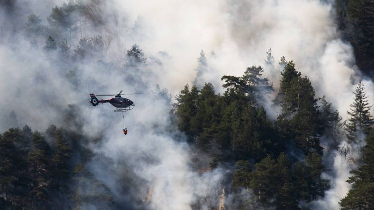 Extreme Hitze und Waldbrände hatten Europa 2022 heimgesucht.