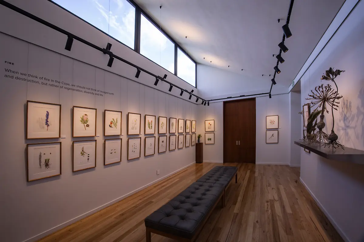 Bild-33-von-40-2023-07-05-056