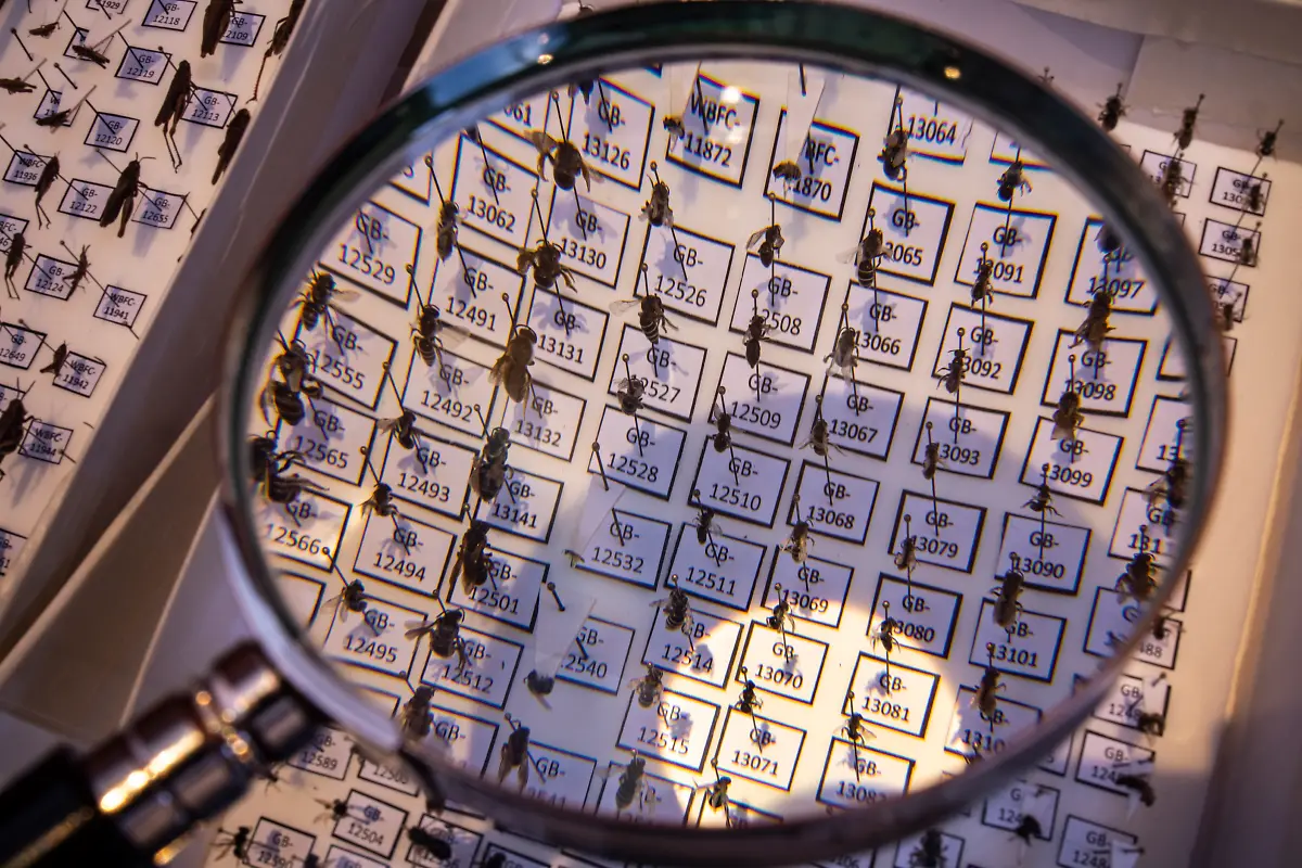 Bild-34-von-40-2023-07-05-058