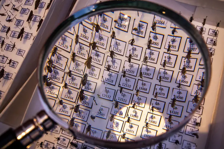 Bild-34-von-40-2023-07-05-058