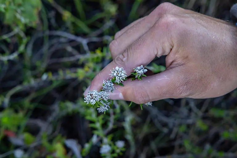 Bild-28-von-40-2023-07-02-025