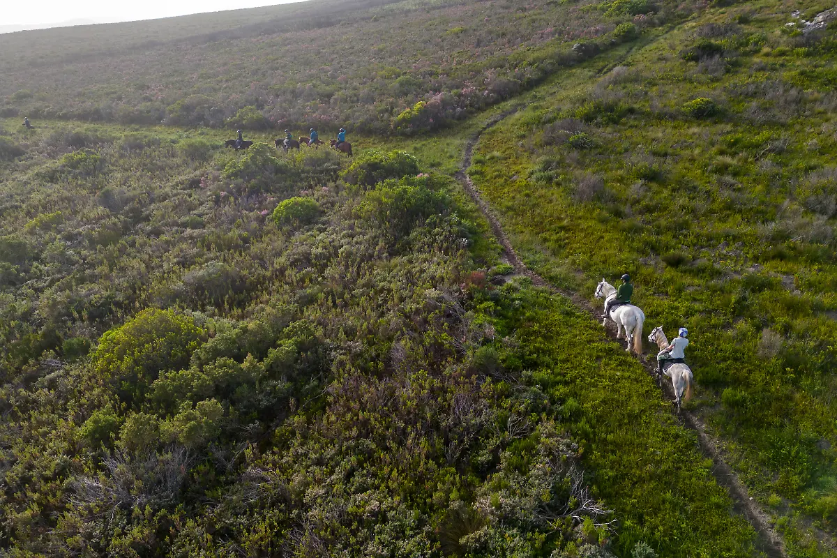 Bild-24-von-40-Mini3-2023-07-04-009