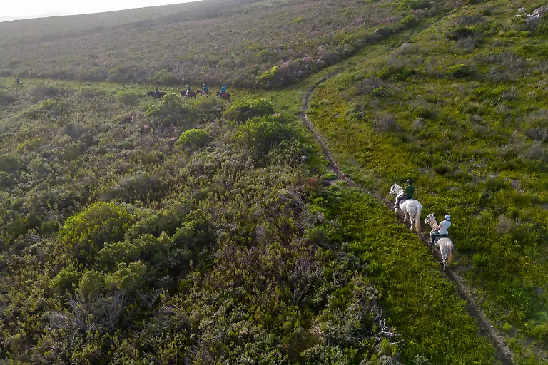 Bild-24-von-40-Mini3-2023-07-04-009