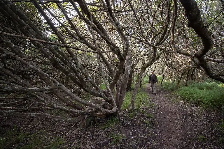 Bild-25-von-40-2023-07-06-006