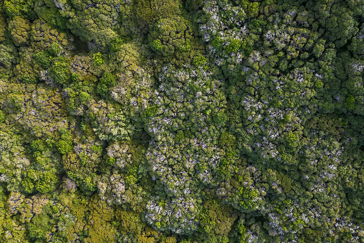 Bild-26-von-40-Mini3-2023-07-06-010