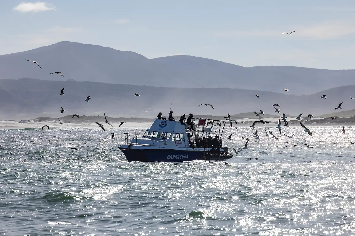 Bild-11-von-40-2023-07-03-029