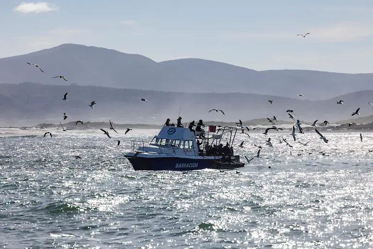 Bild-11-von-40-2023-07-03-029