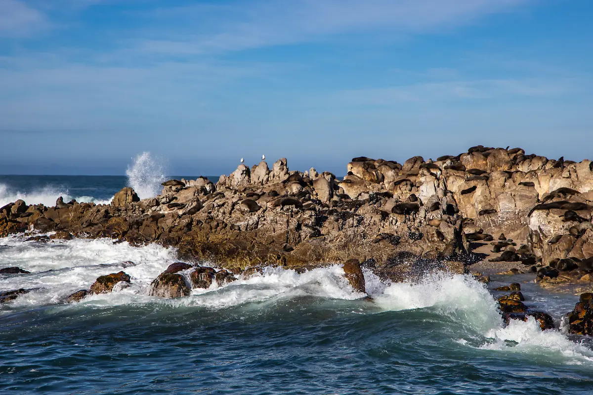 Bild-13-von-40-2023-07-03-045