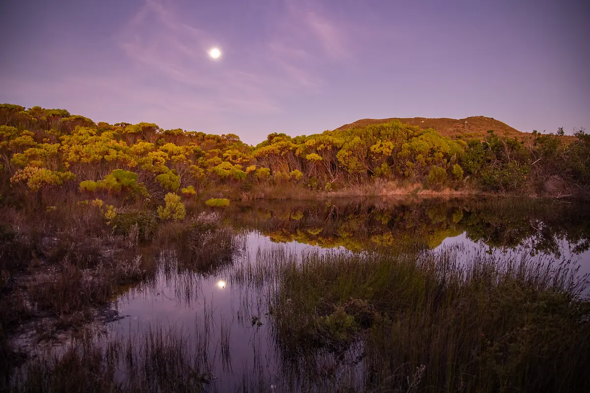 Bild-07-von-40-2023-07-02-031