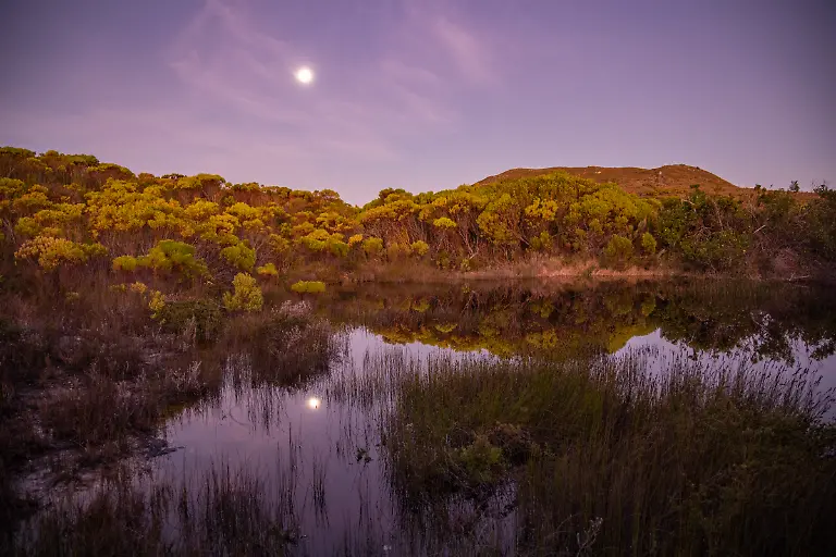 Bild-07-von-40-2023-07-02-031