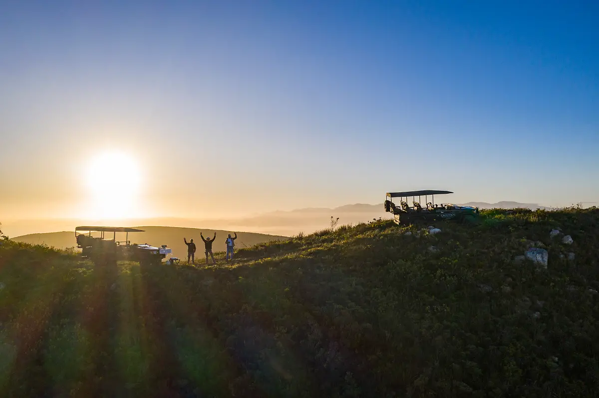 Bild-06-von-40-Mavic2-2023-07-02-015