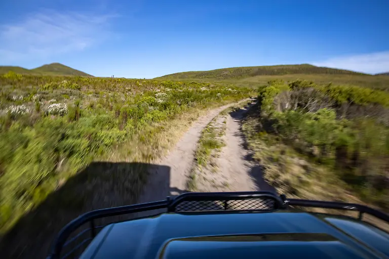 Bild-03-von-40-2023-07-02-017