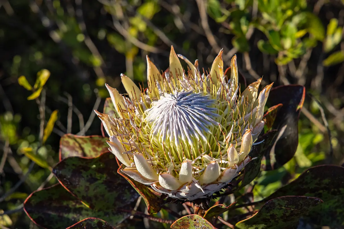 Bild-04-von-40-2023-07-02-024