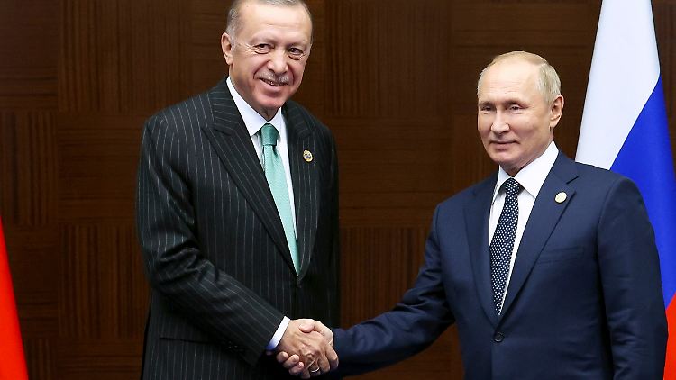 Putin und Erdogan wollen Getreide und Dünger unentgeltlich nach Dschibuti, Somalia und in den Sudan liefern.