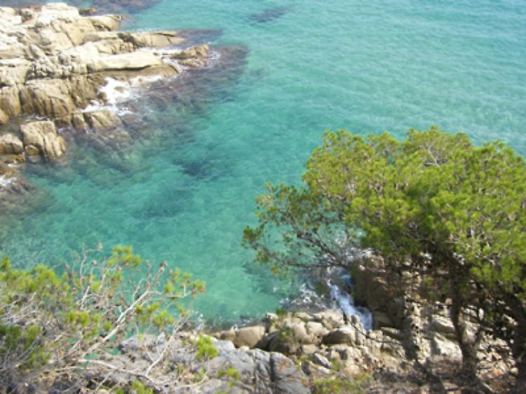 In vielen Mittelmeerländern ist die Gelbsucht-Gefahr groß.