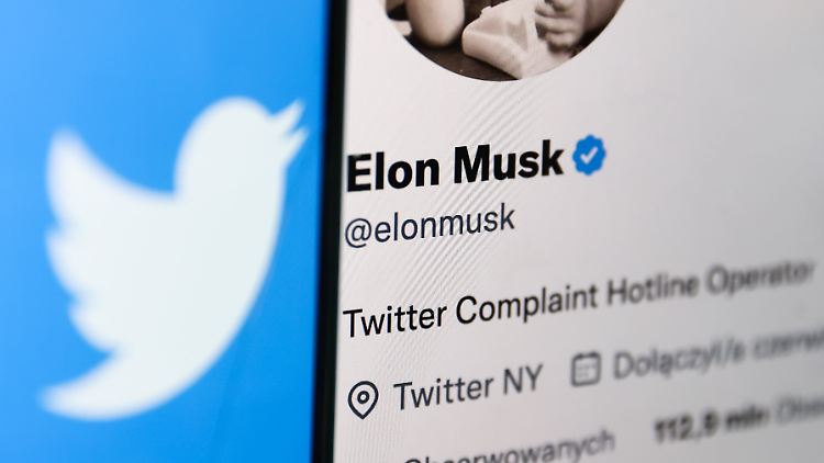 Das blaue Verifikationsabzeichen auf dem Profil von Twitter-Boss Elon Musk. 