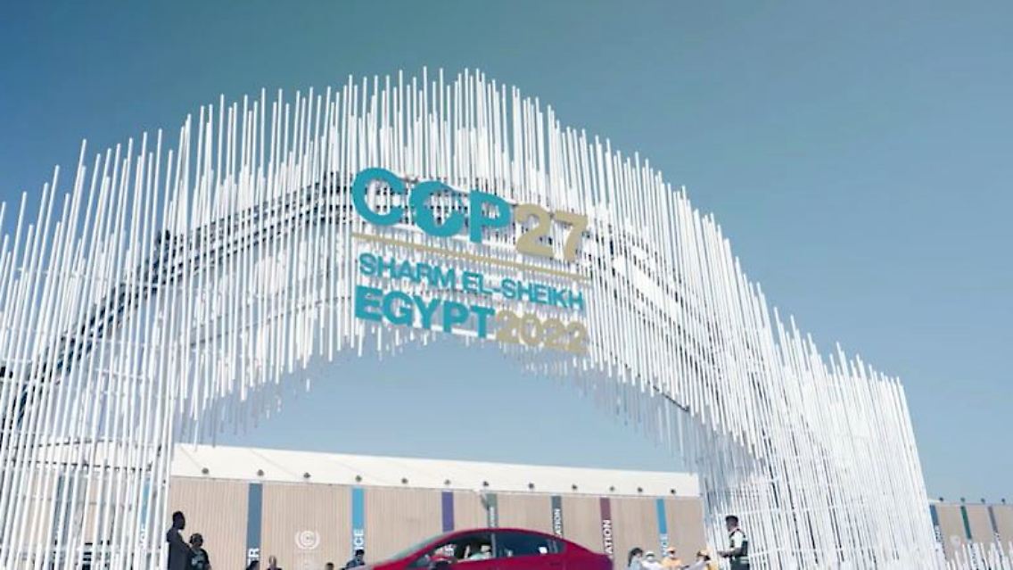 Copd_Ägypten.JPG