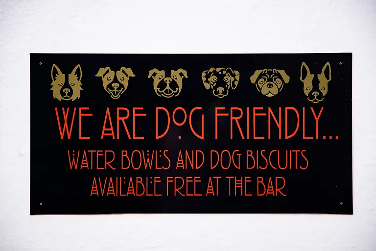 Bild-17-von-40-2023-05-20-043