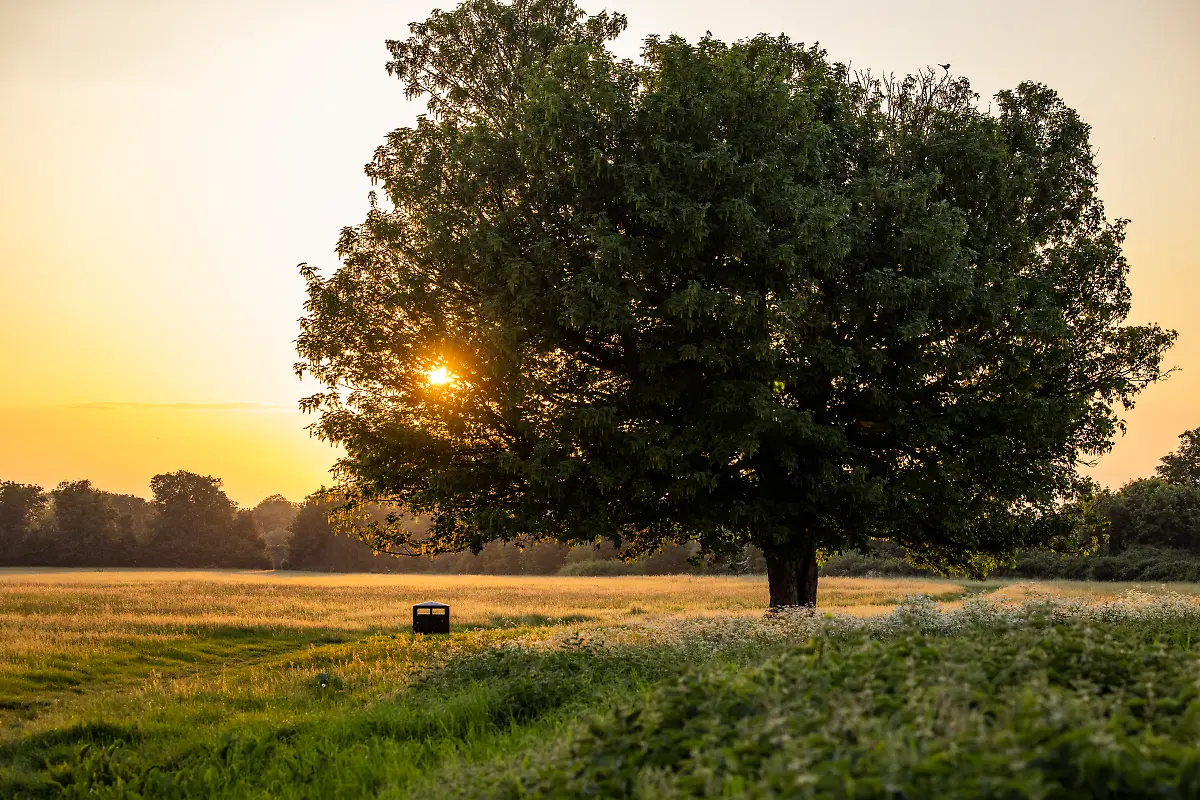 Bild-08-von-40-2023-05-19-091