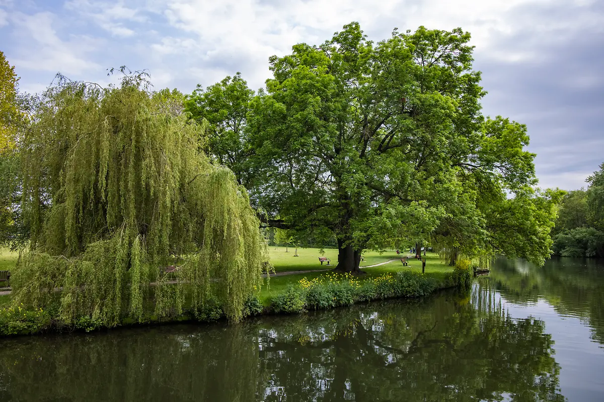 Bild-03-von-40-2023-05-19-045