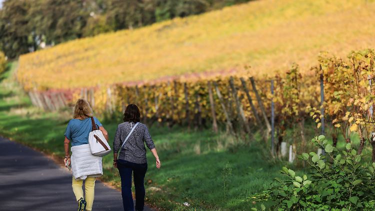 Auch in Deutschland stiegen die Temperaturen an manchen Tagen im Oktober auf über 20 Grad Celsius.