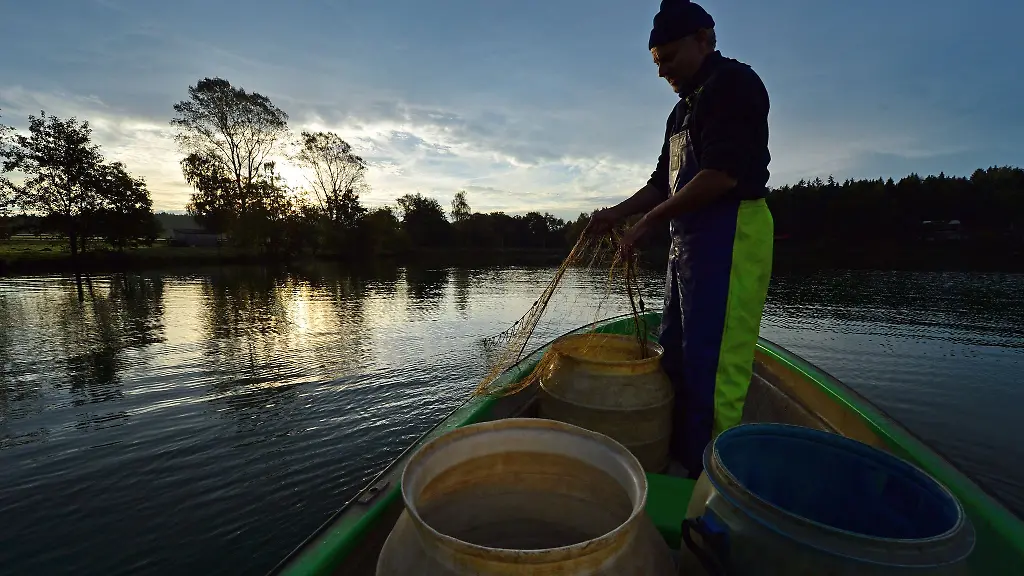 In-Thueringen-sind-im-Jahr-2023-sieben-Prozent-mehr-Speisefische-gefischt-worden-als-im-Vorjahr