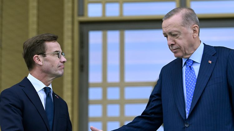 Will alle türkischen Forderungen erfüllen: Schwedens Regierungschef mit dem türkischen Präsidenten. 