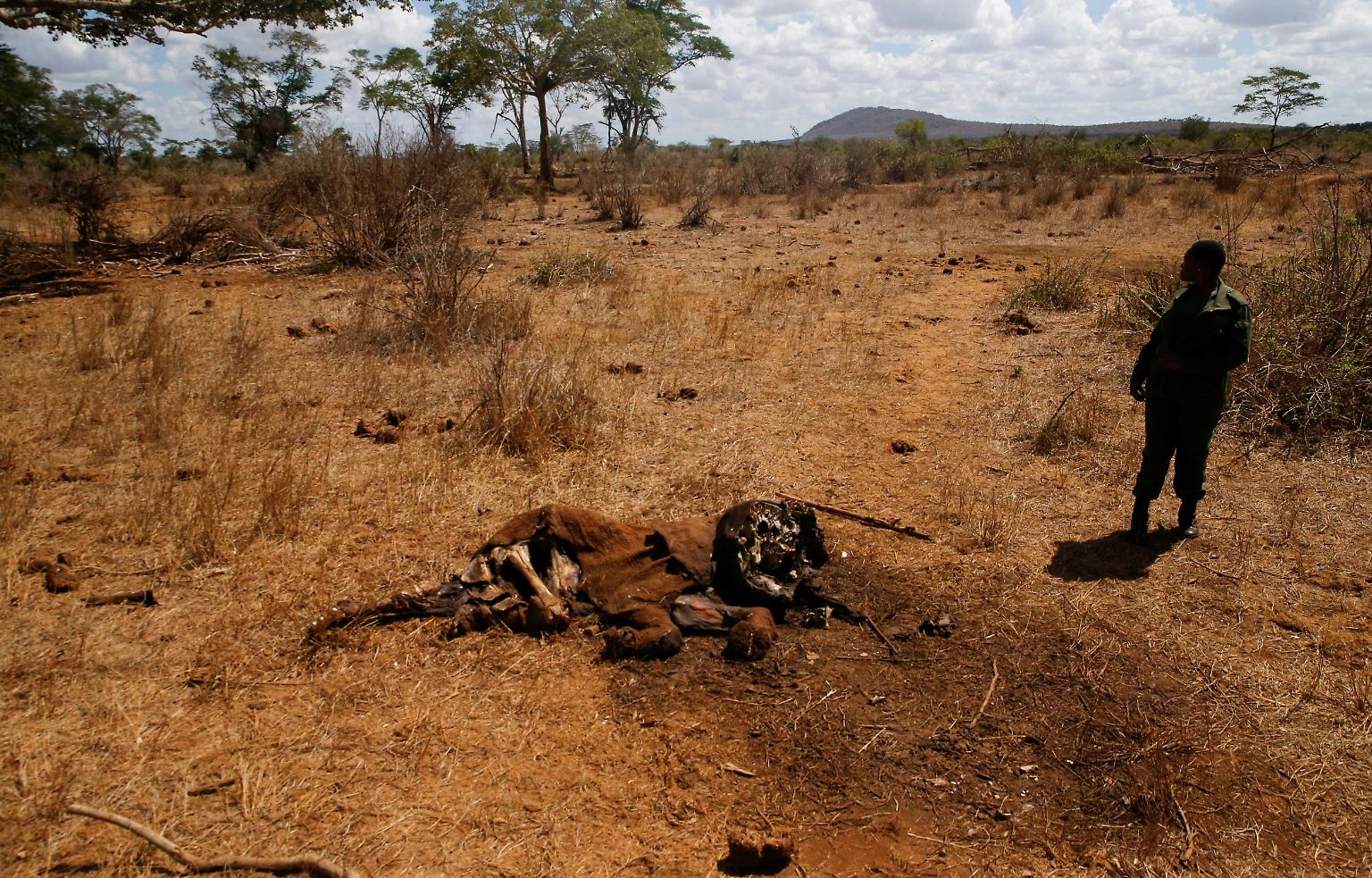 Die Menschheit steckt bereits mittendrin im Klimawandel, auch wenn manche noch meinen, davon nichts zu merken. In Kenia verdursten Elefanten, weil sie wegen der anhaltenden Dürre kein Wasser mehr finden.